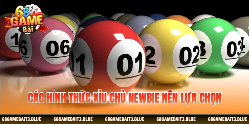 Các hình thức xỉu chủ newbie nên lựa chọn