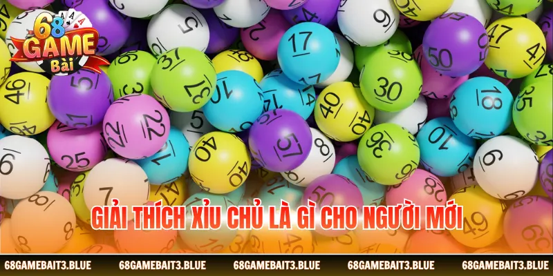 Giải thích xỉu chủ là gì cho người mới